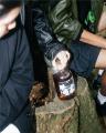 400年続く老舗酒蔵の伝統と、アンビエントな感性が響