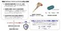 低濃度水素吸入と慢性腎臓病・透析合併症― これまでの
