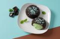 【ビアードパパ】大好評につき“チョコミントシュー”の