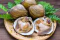 「福島鮮魚便」新たに関東5店舗にて“期間限定販売”を 「福島鮮魚便」新たに関東5店舗にて“期間限定販売”を