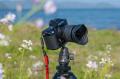 人気のAF 14-24mm F2.8にライカLマウントが登場「LK S 人気のAF 14-24mm F2.8にライカLマウントが登場「LK S