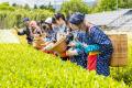 元祖『ギャル校』BLEA学園の学生が御殿場市を町おこし