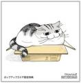 『夜は猫といっしょ』POPUP 7月3日より大垣書店麻布台 『夜は猫といっしょ』POPUP 7月3日より大垣書店麻布台