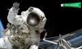 日本の先端乳酸菌バイオ技術から誕生！宇宙技術基準の