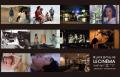 夏から秋へ広がる文化体験　写真展連動イベントや映画