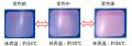 ファンケルとTOPPAN、早稲田実業学校高等部の吹奏楽部 ファンケルとTOPPAN、早稲田実業学校高等部の吹奏楽部