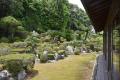 【枯山水庭園・苔・アジサイ】歴史と自然を感じる~こ