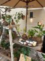 【沼津市民文化センター】ぬまかるクラフト展で「夏」