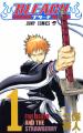 『BLEACH』× 『アフターダーク』ASIAN KUNG-FU GENERA