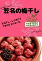 【道の駅そらっと牧之原】ビタミンを発見した牧utf-8 【道の駅そらっと牧之原】ビタミンを発見した牧utf-8