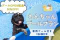 【愛犬専用プール利用料50％OFF】「メモリアコリーナ
