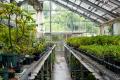 京都府立植物園×GOOD NATURE STATION“植物多様性の保