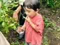 【JAF岐阜】家族や友人と夏の味覚を楽しむ「ブルーベ