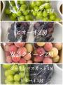猛暑の夏もお家で手軽に勝沼ぶどうを味わえる！希少品