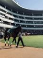 ホースカルチャーブランド「EQUUS」、英国・ロイヤル ホースカルチャーブランド「EQUUS」、英国・ロイヤル