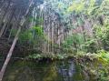 「兵庫県多可町 水と大地の森林保全プロジェクト」J-