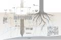 屋久島の建築事務所が世界一に。tono、Architizer A+ 