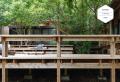 屋久島の建築事務所が世界一に。tono、Architizer A+ 