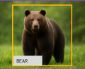 夏のクマ出没シーズン到来。リュックやテントにも装着