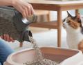 【新商品】あとで足そう、を減らす。猫砂補充をラクに 【新商品】あとで足そう、を減らす。猫砂補充をラクに