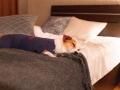 【最大30%OFF】愛犬と楽しむ夏先取りプラン販売開始 【最大30%OFF】愛犬と楽しむ夏先取りプラン販売開始