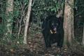 【NPO法人ピッキオ】クマ被害対策ゴミ箱「Bear Smart 【NPO法人ピッキオ】クマ被害対策ゴミ箱「Bear Smart