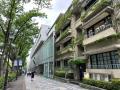 不登校や孤独を感じている子ども達へ「ひとりじゃない 不登校や孤独を感じている子ども達へ「ひとりじゃない