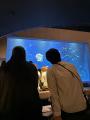【800名完売御礼】「四国水族館ナイト~夜の水族館ま 【800名完売御礼】「四国水族館ナイト~夜の水族館ま