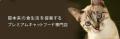 《tama》夏の水分補給のサポートに、tama総合栄養食24 《tama》夏の水分補給のサポートに、tama総合栄養食24
