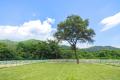 【開業1周年記念】栃木県日光エリア・関東最大級のプ