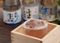 得旅キャンペーン「まだバレてない秋田県。」追加クー