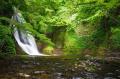 得旅キャンペーン「まだバレてない秋田県。」追加クー