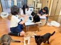 【岐阜県飛騨市】なぜ行政が「保護猫活動」を支援する