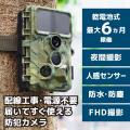 配線工事も電源も一切不要!迷彩柄で目立たずに家や農 配線工事も電源も一切不要!迷彩柄で目立たずに家や農