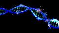 【ソニックのDNA】が現実世界に誕生。SONIC 35周年。