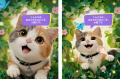 Meowster 最新アップデートまとめ|「触れる・集める Meowster 最新アップデートまとめ|「触れる・集める