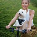 Brook & Breeze、Interpets Osaka 2026 に出展　“犬視