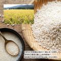 北海道仁木町産「銀山米」を使用した米糀甘酒「Nobish