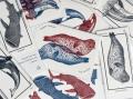 【ロフト】日本の水族館の魅力に触れる銀座ロフトの人