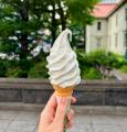 もうがっかりとは言わせない！札幌の古くて新しいスポ