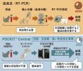 ネコの重症熱性血小板減少症候群（SFTS）ウイルスを約