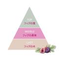 【YOLU数量限定ヘアケア】 甘くみずみずしい香り“フィ
