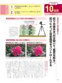 【6月17日発売】ミラーレス一眼カメラの使い方、写真
