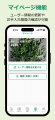 庭木をスマホで撮るだけで概算見積りがわかる公式アプ