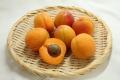 生のあんず、食べたことありますか？貴重な初夏の味覚