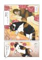 【ポーランド猫×日本の古民家！】気高くエレガント。