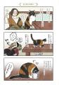 【ポーランド猫×日本の古民家！】気高くエレガント。
