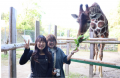 しろとり動物園と提携、ザランタン東かがわのご宿泊者