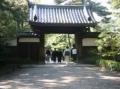 「三溪園大茶会」を9年ぶりに開催