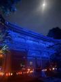 国重要文化財・根津神社が光と歌に包まれた2日間――『W